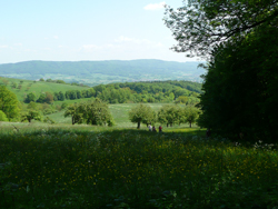 roterHund_CANIS_Hundewanderung_Bergstrasse