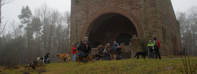 der_rote_Hund_Hundewanderung