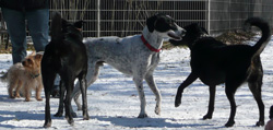 Schneestunde_3
