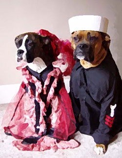 roterHund_Platzverbot