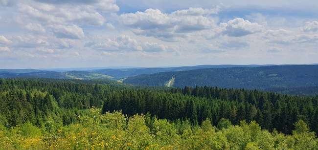 der_rote_hund