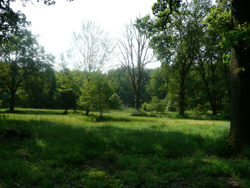 Wanderung_Der_rote_Hund