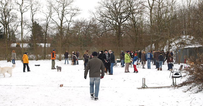 der_rote_Hund_Winter