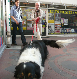 der_rote_Hund_Mantrailing