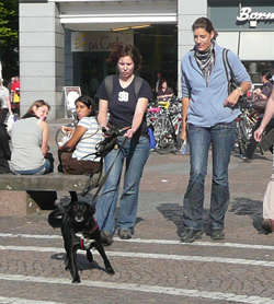 der_rote_Hund_Mantrailing