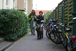 Mantrailing_4