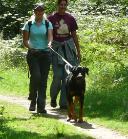 der rote Hund_Mantrailing