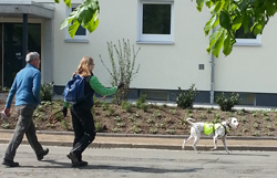 der_rote_Hund_Mantrailing