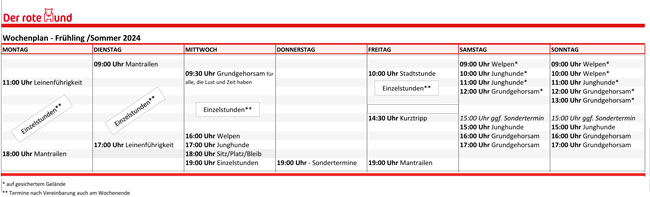 der_rote_hund