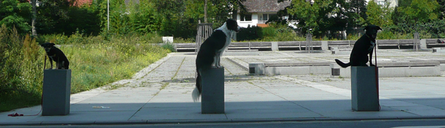 der rote Hund_Mantrailing